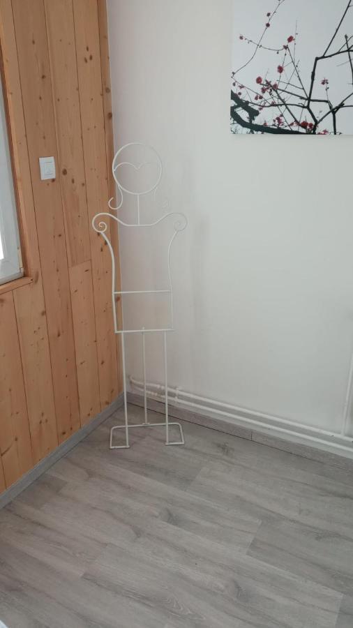 Ferienwohnung L'écrin des Vosges Gérardmer Exterior foto